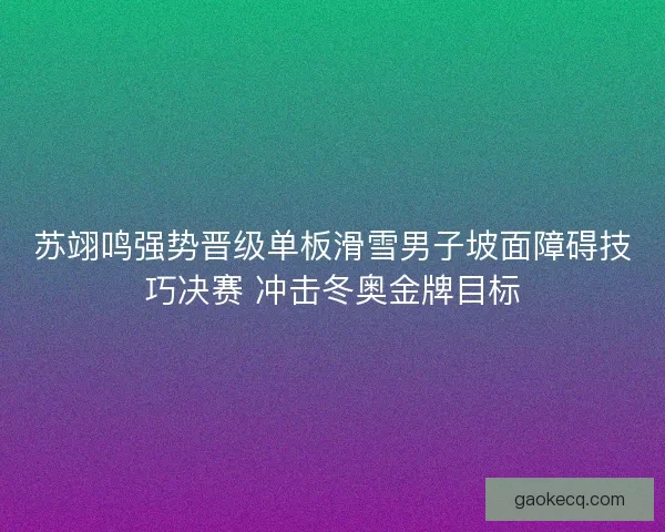 苏翊鸣强势晋级单板滑雪男子坡面障碍技巧决赛 冲击冬奥金牌目标